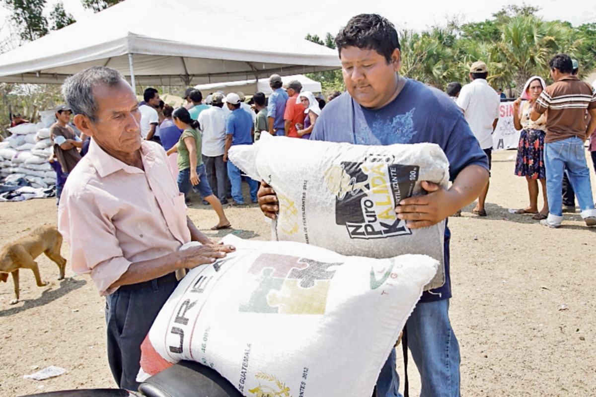 La entrega de fertilizantes avanza, explicó ayer el ministro de Agricultura. (Foto Prensa Libre: ERICK AVILA)