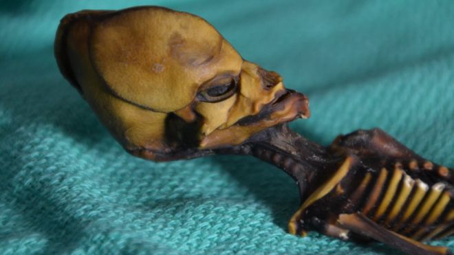 Se llegó a especular que el esqueleto momificado de esta niña era un extraterrestre. Foto: Emery Smith.