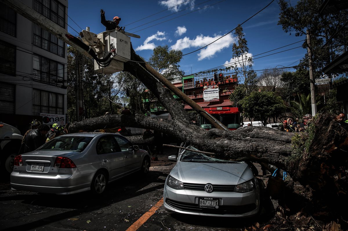 La inesperada tormenta invernal en México ha causado al menos cuatro muertos. (Foto Prensa Libre: EFE).