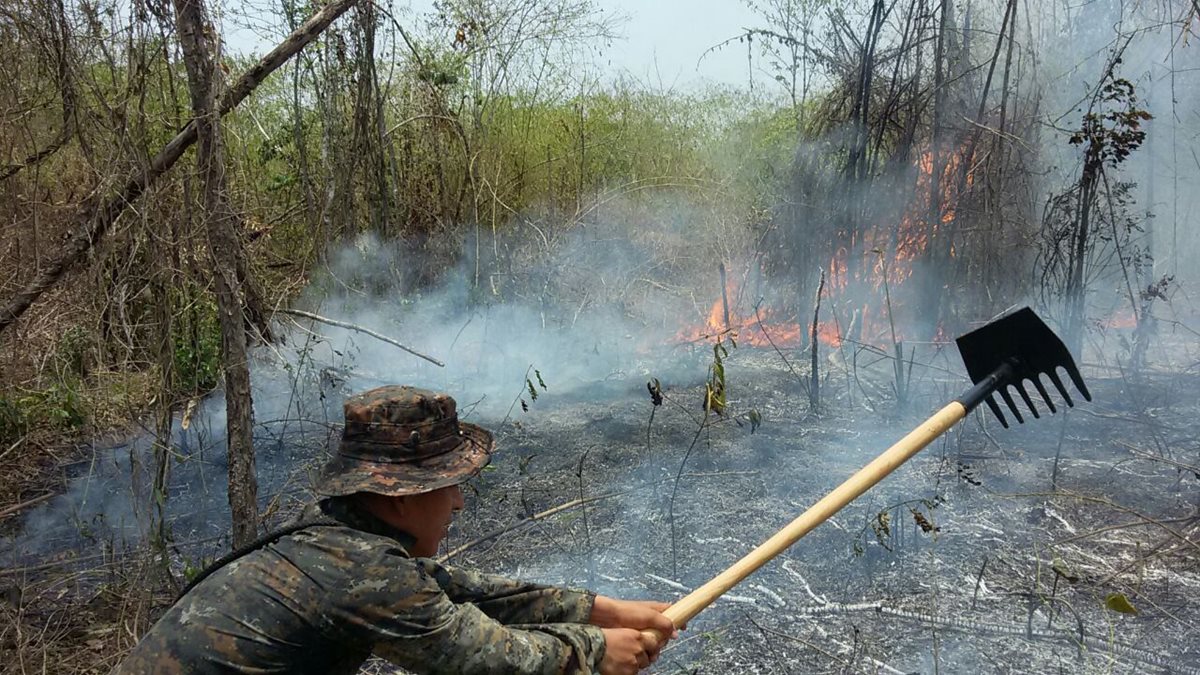 Grandes extensiones de bosque se queman cada año en Guatemala. (Foto Prensa Libre: Rigoberto Escobar)