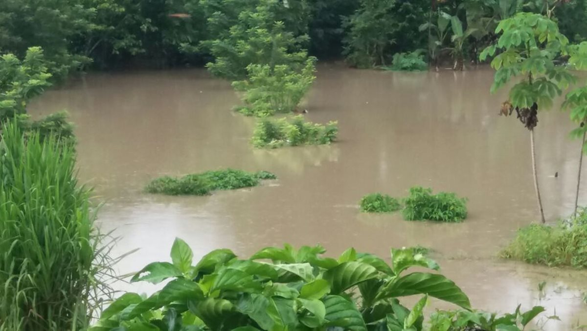El desborde del río Chixoy ha causado inundaciones en todo el municipio. (Foto Prensa Libre: Héctor Cordero)