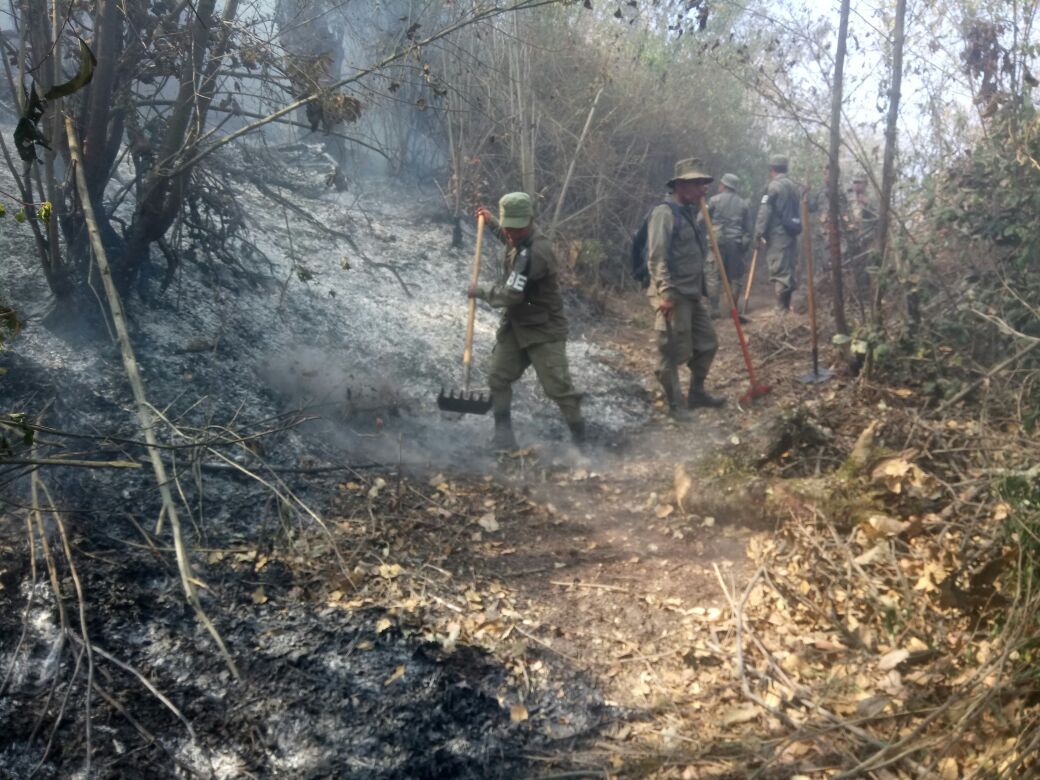Los incendios que se han registrado en los últimos cuatro meses en Quetzaltenango han consumido 60 hectáreas de bosque, de esas 25 han sido en montañas que rodean a la ciudad altense. (Cortesía Hugo Urizar)