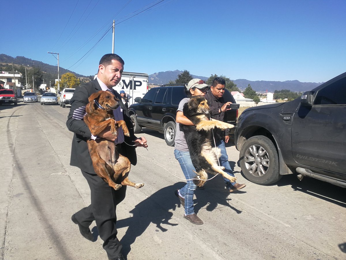 Autoridades rescatan a dos de los perros localizados en el inmueble en La Esperanza, Quetzaltenango. (Foto Prensa Libre: Fred Rivera)