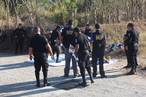 Investigadores reúnen  evidencias en el lugar donde ocurrieron tres crímenes en Pajapita, San Marcos. (Foto Prensa Libre: Alexáder Coyoy)