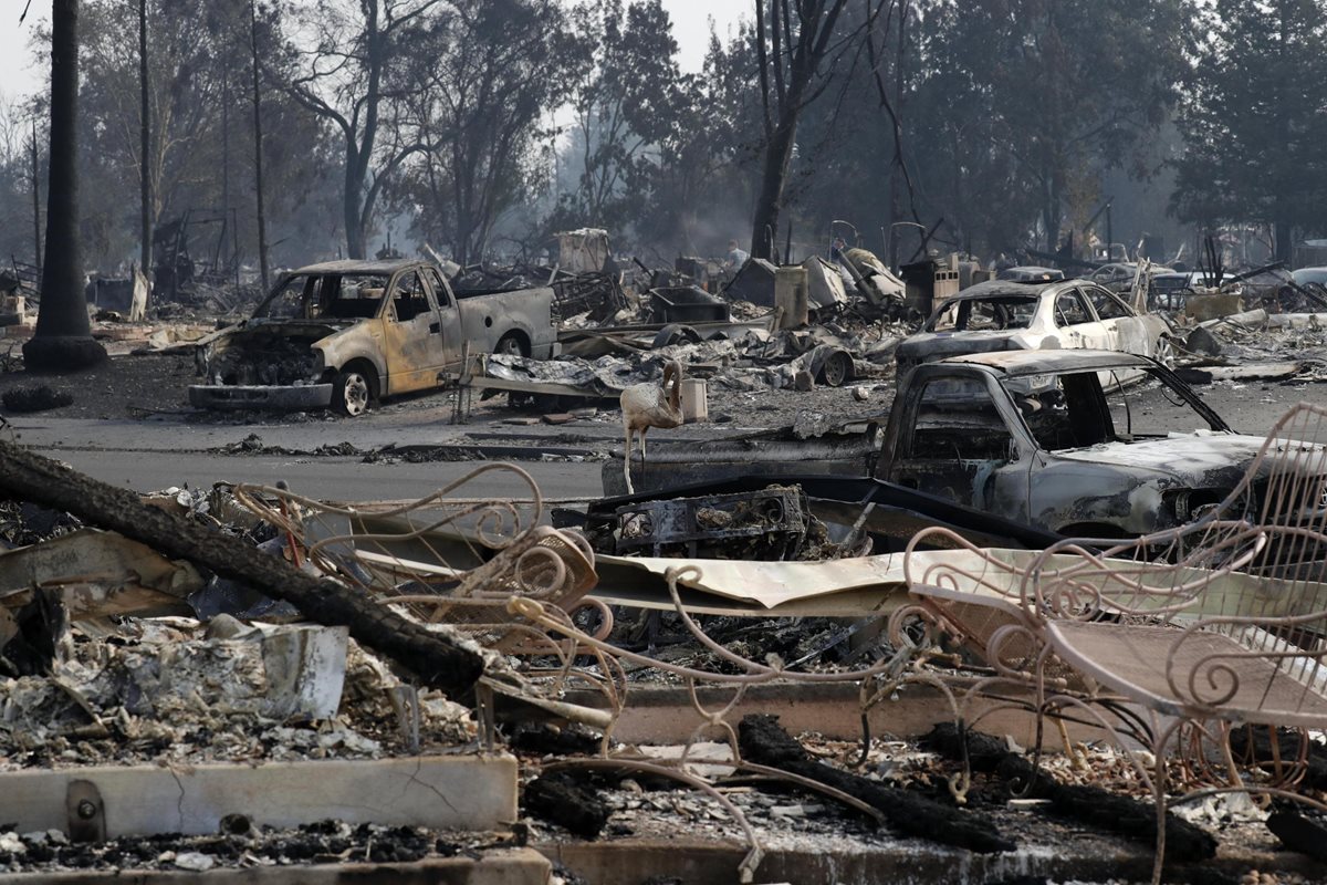 Casas y vehículos quemados es todo lo que queda luego de los incendios en California. (Foto Prensa Libre: EFE)