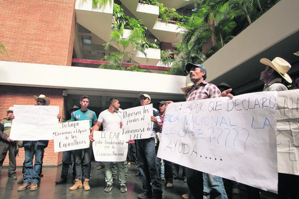 Pequeños caficultores  protestaron en  la sede de Anacafé, el 6 de octubre del 2014. (Foto Prensa Libre: Hemeroteca PL)
