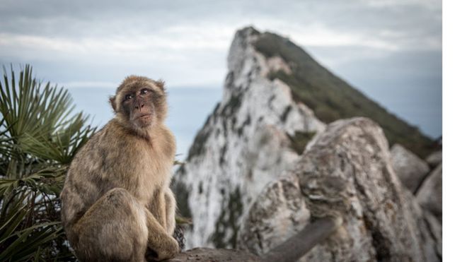 Existe una diferencia entre "votar que no", que es lo que hará España, y vetar el acuerdo. MATT CARDY/GETTY IMAGES
