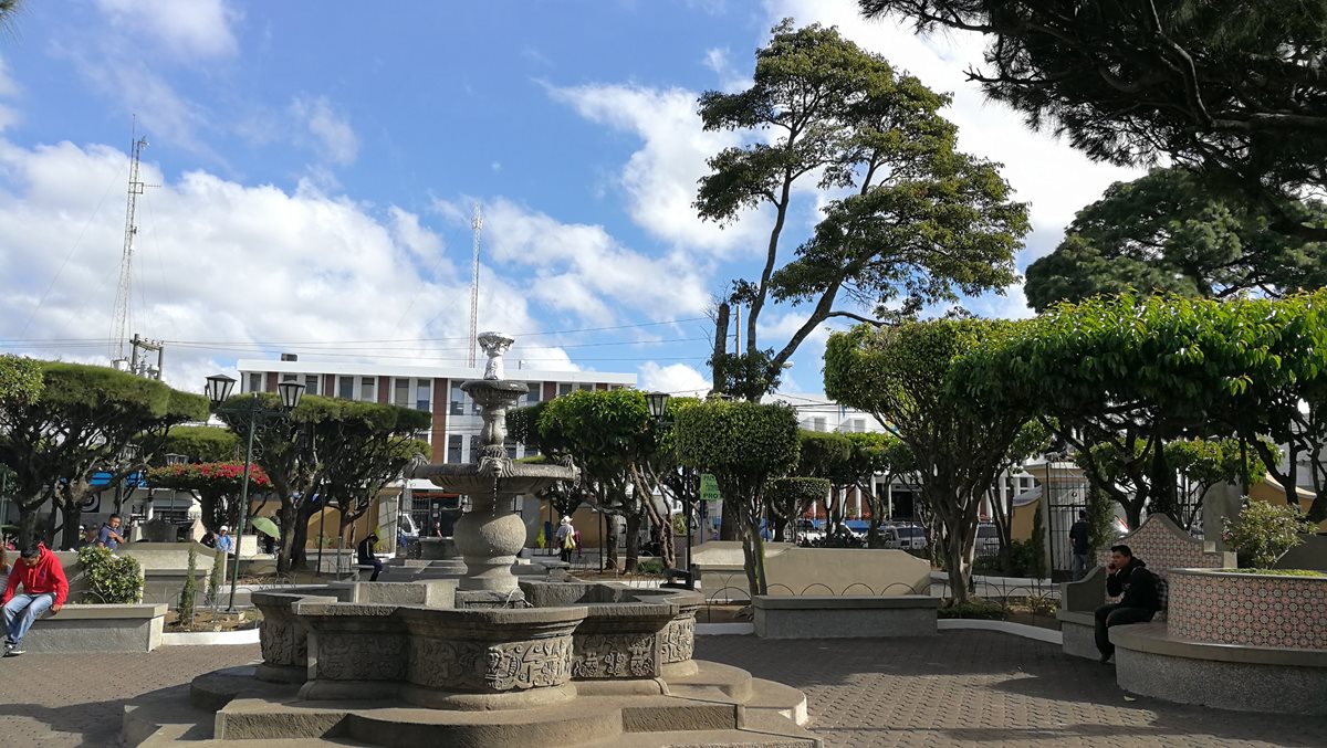 Árbol de hormigo fue plantada hace 22 años en el parque central de la zona 1 de Mixco. (Foto Prensa Libre: Óscar Felipe Quisque)