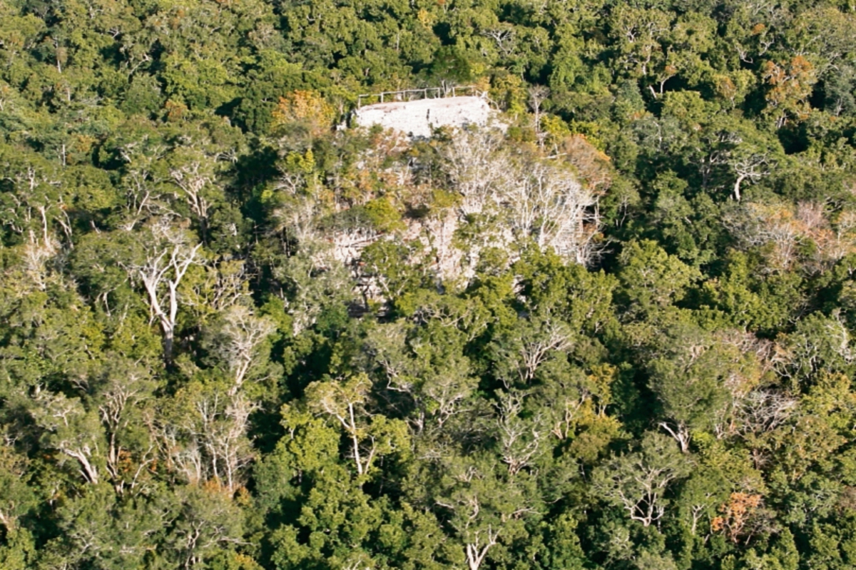 En el Mirador está la pirámide de mayor volumen del mundo. (Foto Prensa Libre: Daniel Herrera)
