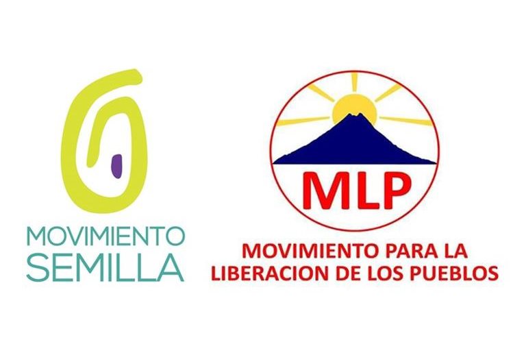 La UNE asegura que el logo del Movimiento Semilla tiene similitudes con el de Movimiento para la Liberación de los Pueblos.