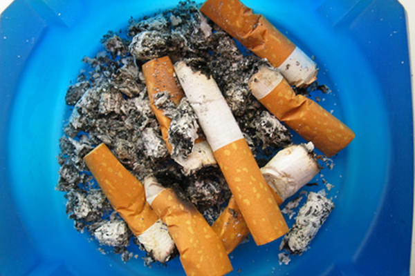 Foto: www.queciencia.com