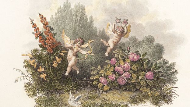 "Los amores de las plantas" fue el título que le dio a un largo poema con anotaciones científicas. SCIENCE PHOTO LIBRARY