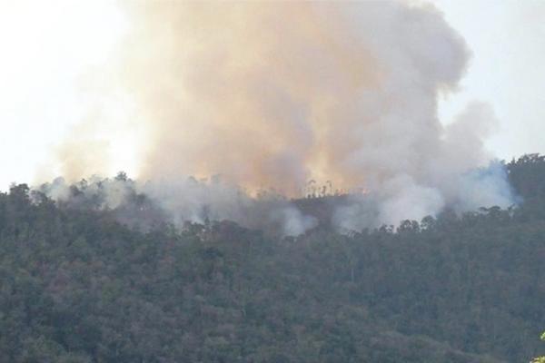 Vista general del incendio en la Sierra Santa Cruz, El Estor, Izabal. (Foto Prensa Libre: Edwin Perdomo)