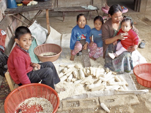 Catalina Sal Ajquí, junto a sus cuatro hijos en su vivienda en San Andrés Itzapa, recuerda que su hija Elsa —en brazos— estuvo siete meses en un centro de recuperación nutricional. (Foto Prensa Libre: José Rosales).