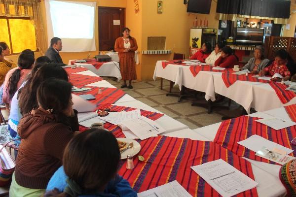 Delegada de la Red de Mujeres Indígenas presenta  informe del Área de Salud.