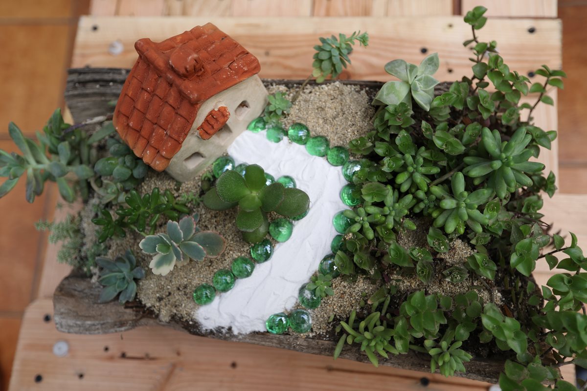 Cómo hacer jardines en miniatura
