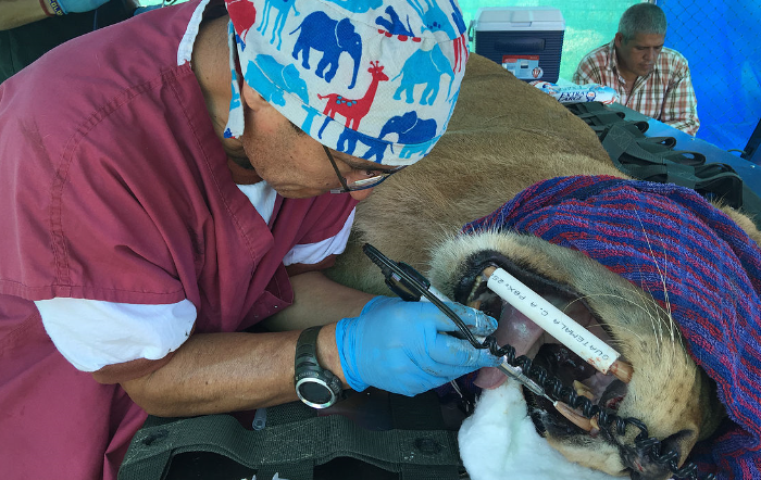 Tanya reciben atención médica en el resguardo temporal habilitado por ADI en Escuintla. (Foto Prensa Libre: Cortesía ADI)