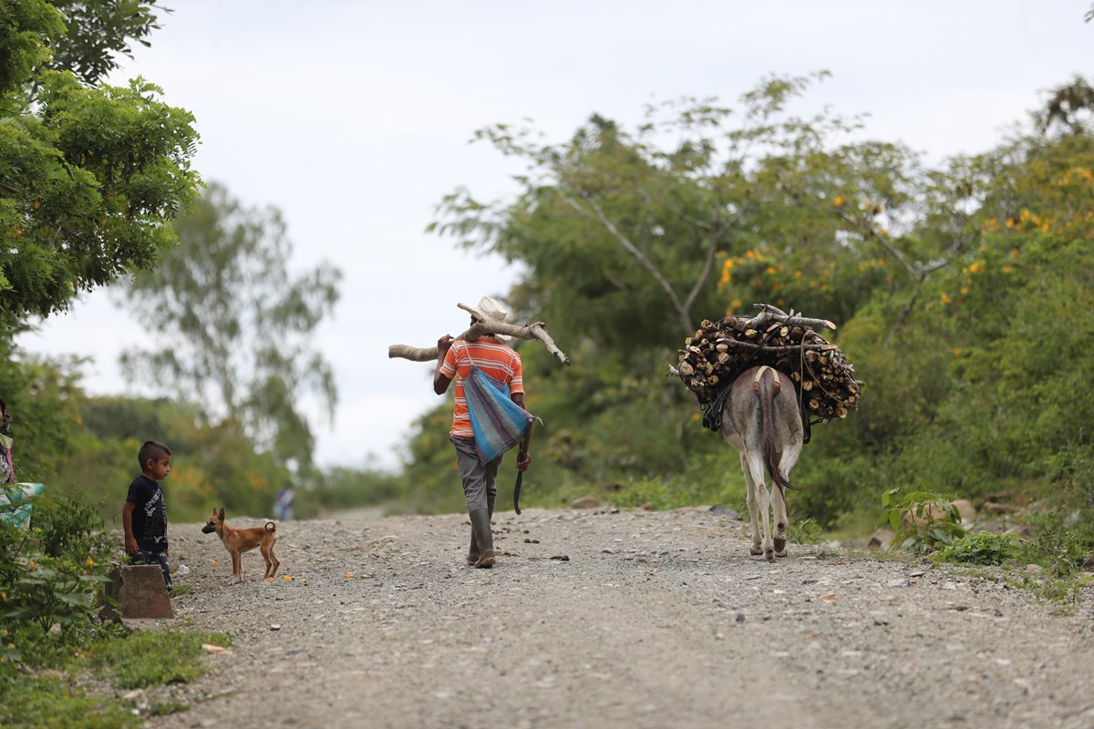 Familias del Corredor Seco han optado por buscar en EE. UU. una oportunidad de vida, luego que los últimos años la sequía les ha golpeado con fuerza y los ha dejado sin alimentos. (Foto Prensa Libre: Érick Avila)