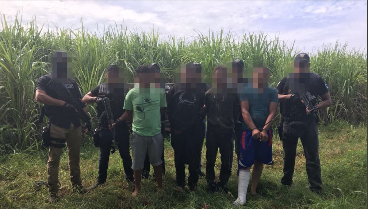 Los cuatro sujetos intentaron escapar entre los cañaverales de Bolivia, Santo Domingo Suchitepéquez. (Foto Prensa Libre: Cortesía PNC)