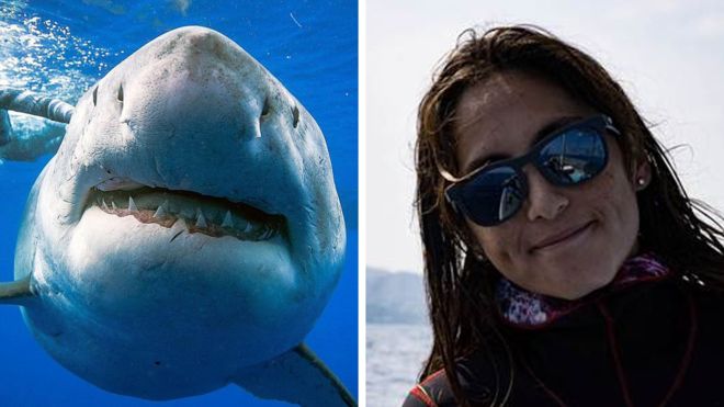 Kimberly Jeffries era parte del equipo que nadó con el enorme tiburón blanco en Hawái. REUTERS/MARK MOHLER