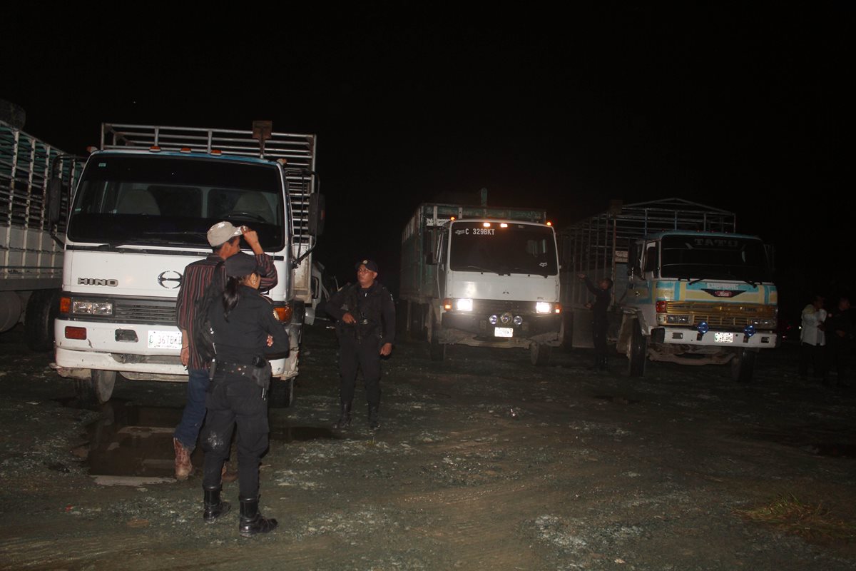 Camiones localizados en Morales, Izabal, donde se trasladaban 200 reses con reporte de robo. (Foto Prensa Libre: Dony Stewart)