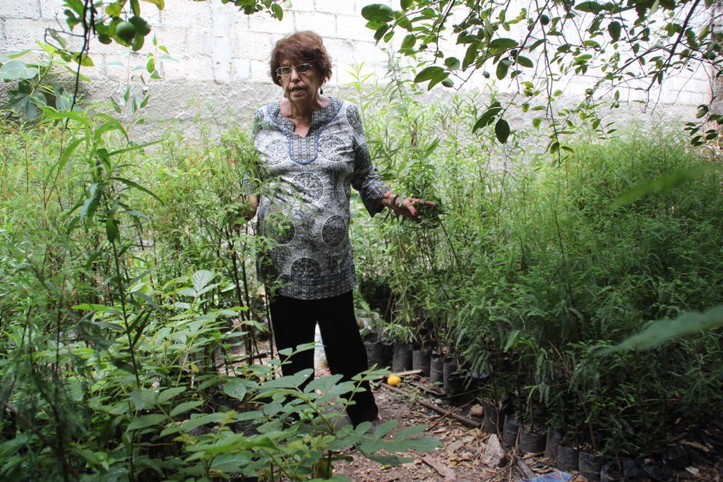 Olga Marina Alfaro de Méndez muestra sitio que utiliza para siembra de arbolitos, en Huehuetenango.(Foto Prensa Libre: Mike Castillo)