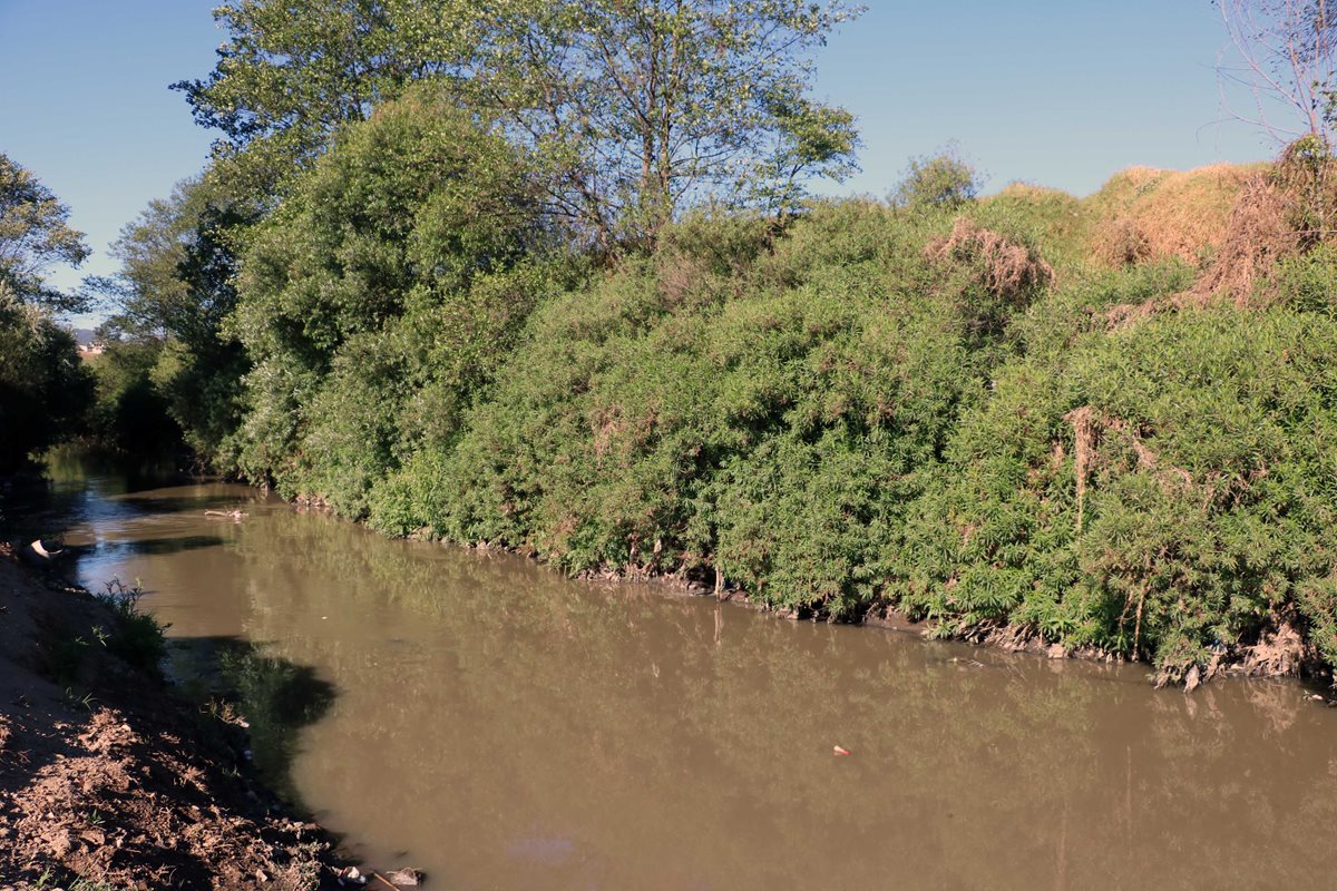 El río Samalá pasa atrás de la tintorería del alcalde Juan Xum Viciente, y esta desfoga agua contaminada con tintes. (Foto Prensa Libre: Carlos Ventura)