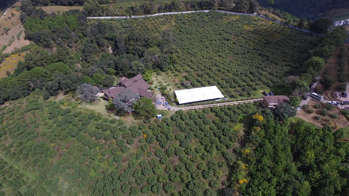 Cultivo de aguacates Hass rodean la propiedad en Zaragoza, Chimaltenango. (Foto Prensa Libre: Hemeroteca PL)