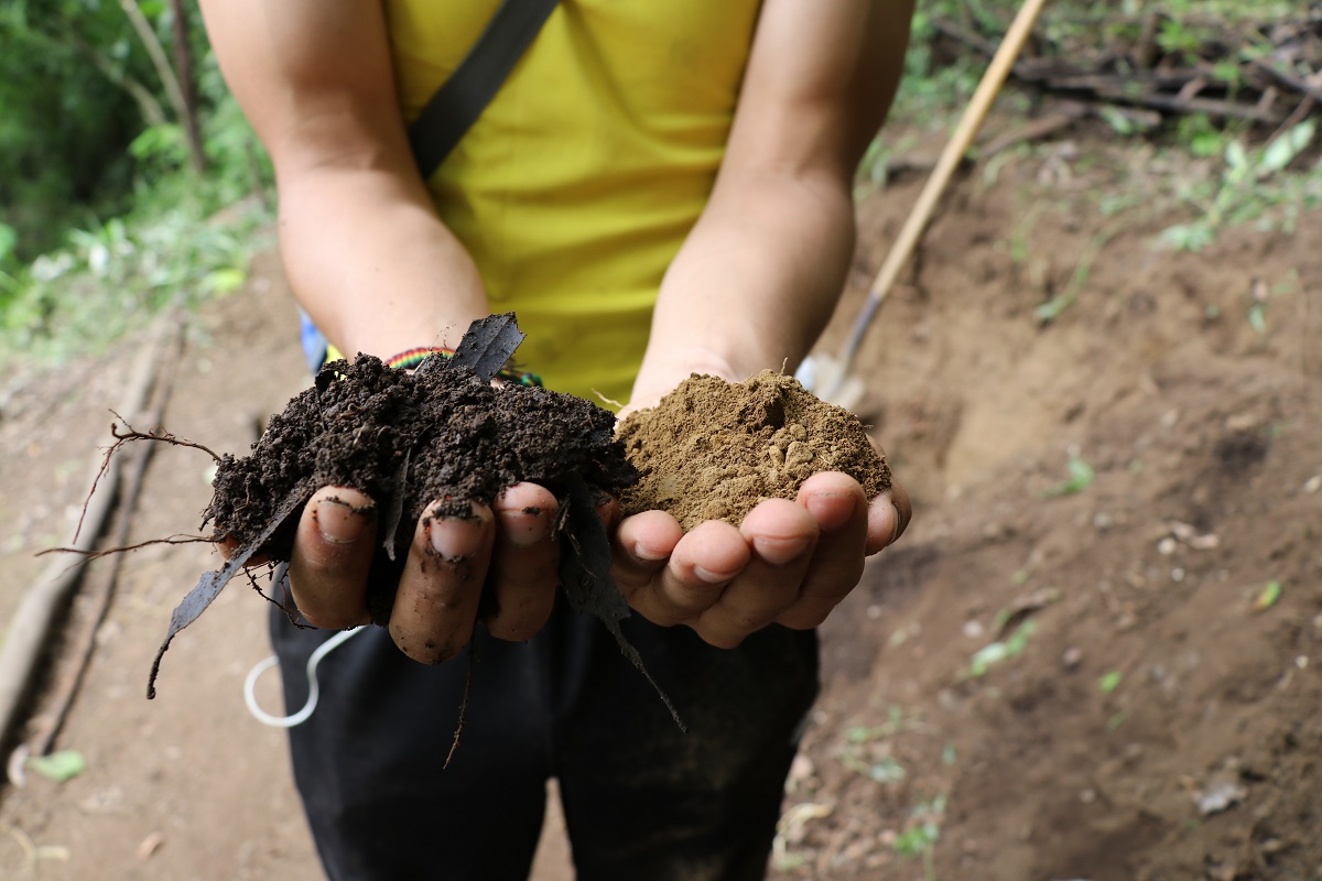 Jorge Castillo muestra el abono orgánico y la tierra acidificada del cerro por la plantación de eucaliptos.(Foto Prensa Libre: Julio Sicán)