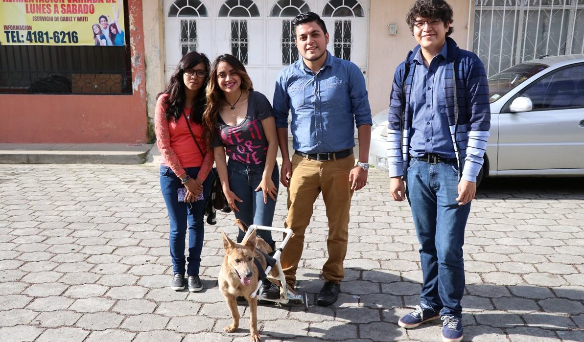 Voluntarios junto a uno de los perros que fueron rescatados en Quetzaltenango. (Foto Prensa Libre: María Longo)