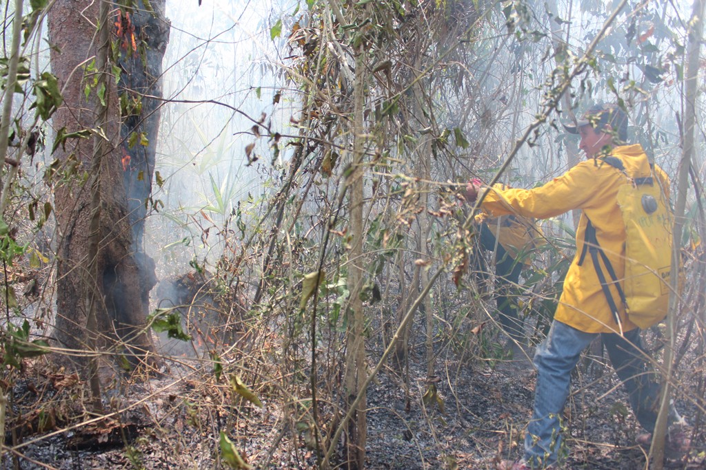 Los incendios forestales han destruido varias hectáreas de bosque en Petén. (Foto Prensa Libre: Rigoberto Escobar).