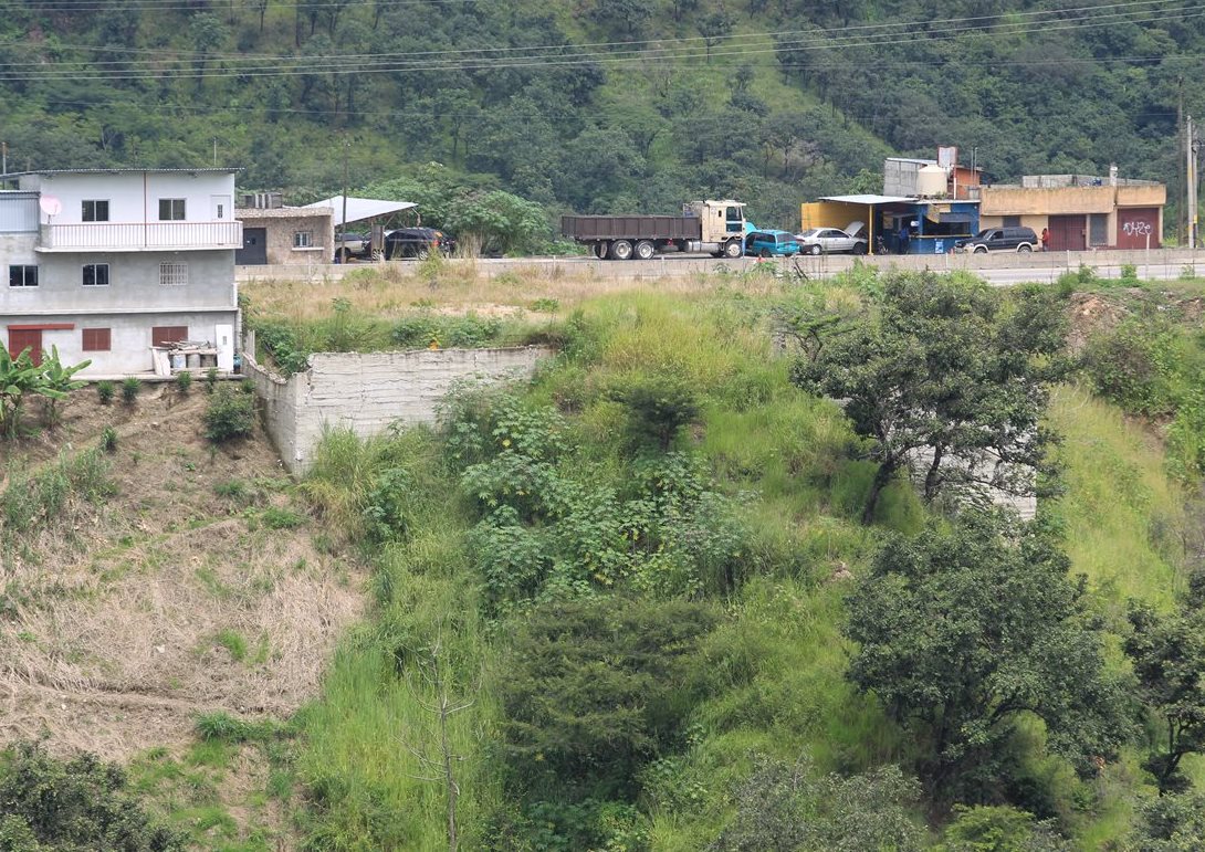 Palencia cuenta un bosque amplio en el que podría construirse un ecoparque. (Foto Prensa Libre: Estuardo Paredes)