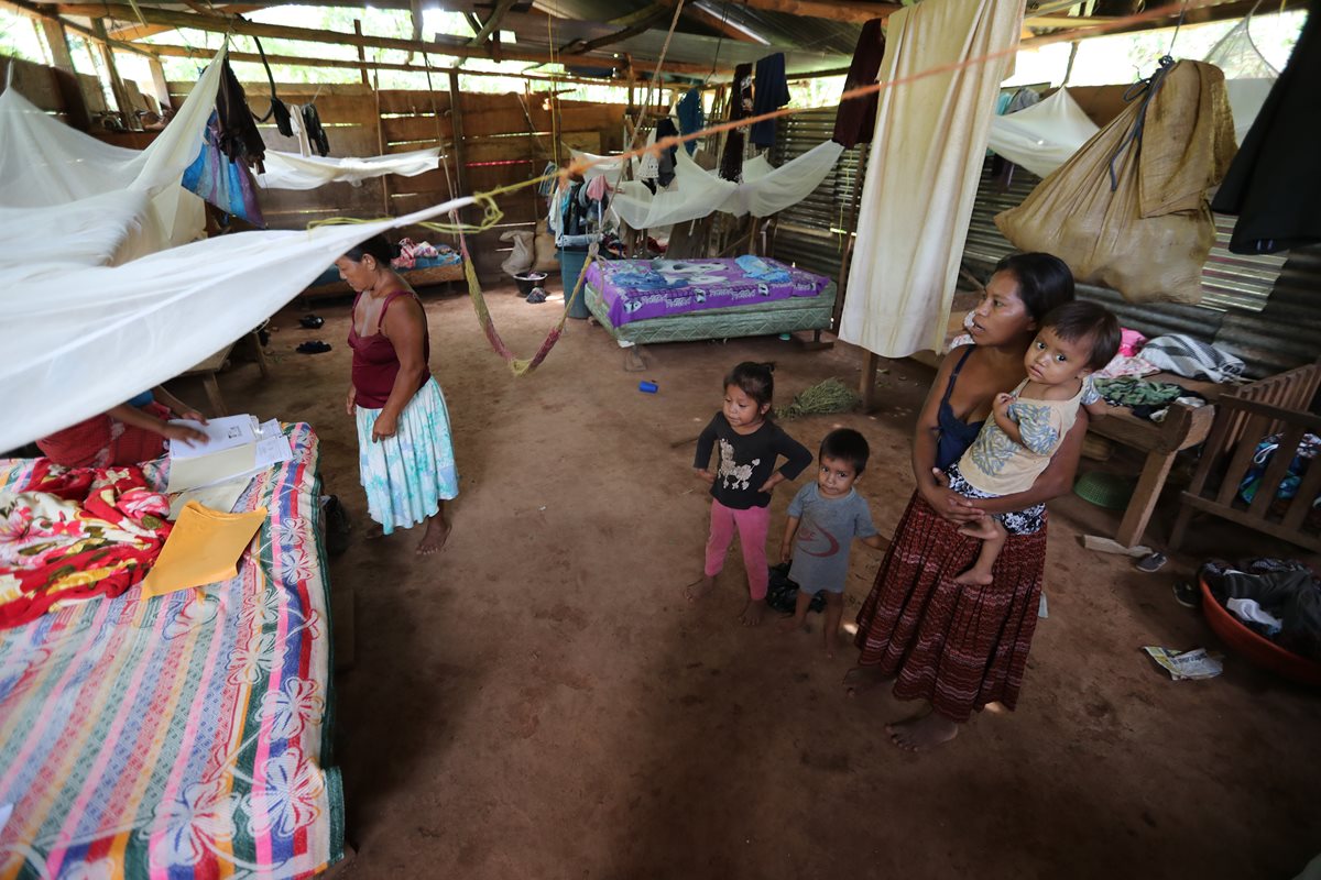 Familias de Panzós viven sin comida ni trabajo