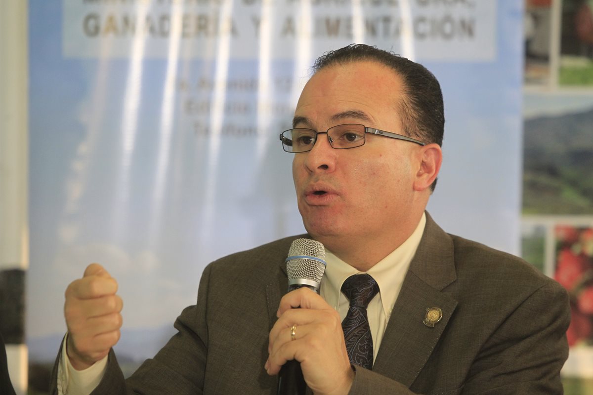 El ministro de Agricultura Mario Méndez Cóbar propone discutir más la iniciativa de ley de desarrollo rural. (Foto Prensa Libre: Hemeroteca PL)