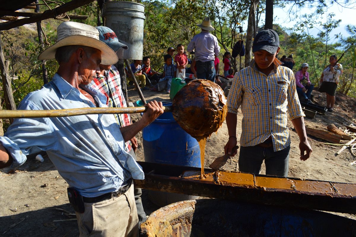 La molienda de caña de azúcar en Esquipulas, Chiquimula, comienza en enero y concluye en mayo. Es un oficio de tradición familiar. (Foto Prensa Libre: Mario Morales)