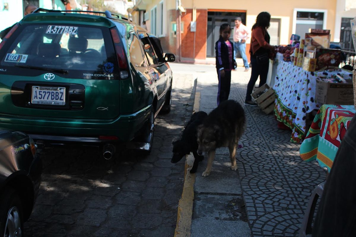 Transporte público en San Antonio Sacatepéquez, San Marcos, deberá de cumplir con un nuevo reglamento. (Foto Prensa Libre: Aroldo Marroquín)