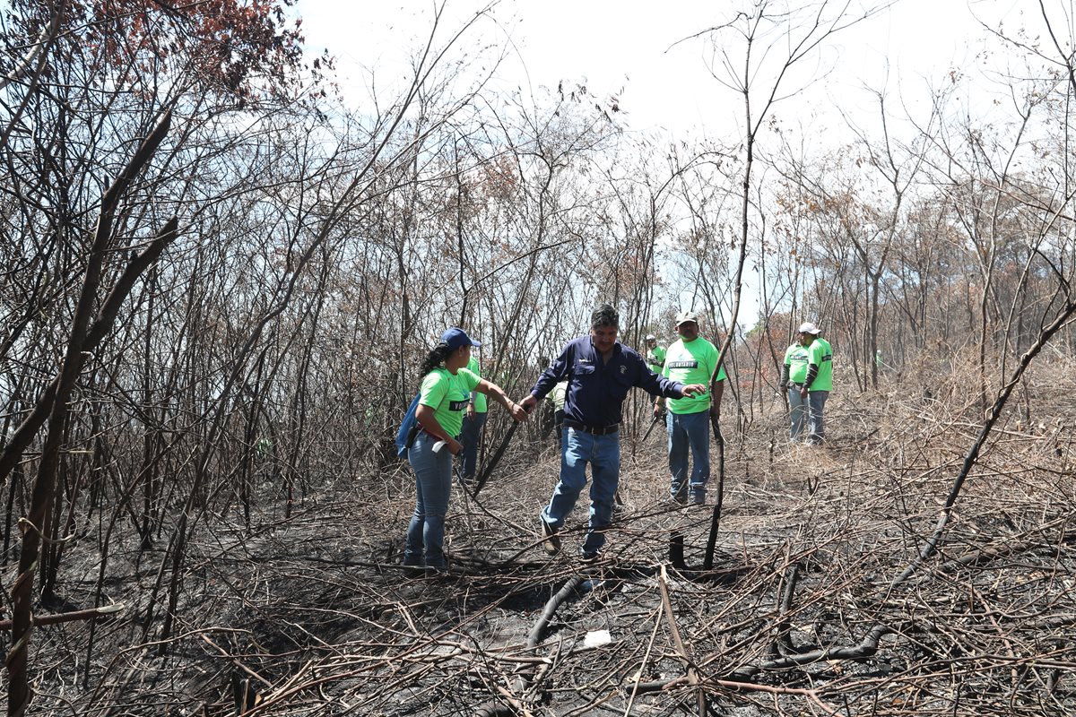 Voluntarios limpian el área afectada por el incendio en El Naranjo. (Foto Prensa Libre: Óscar Felipe)