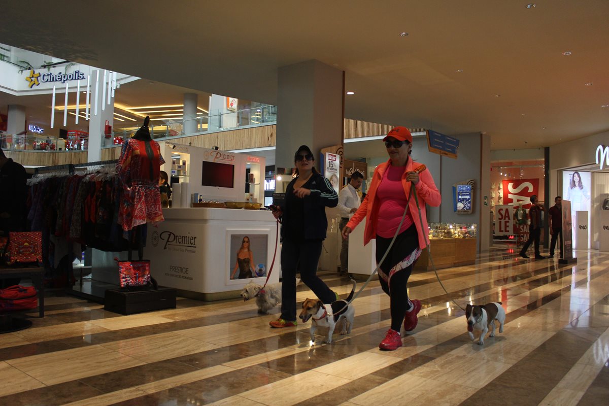 En centro comercial Parque Las Américas, las personas pueden caminar con sus mascotas en los pisos uno y dos. (Foto Prensa Libre: Eduardo González)