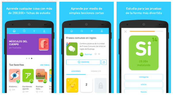 La aplicación de TinyCards se encuentra disponible para Android (Foto Prensa Libre: TinyCards).