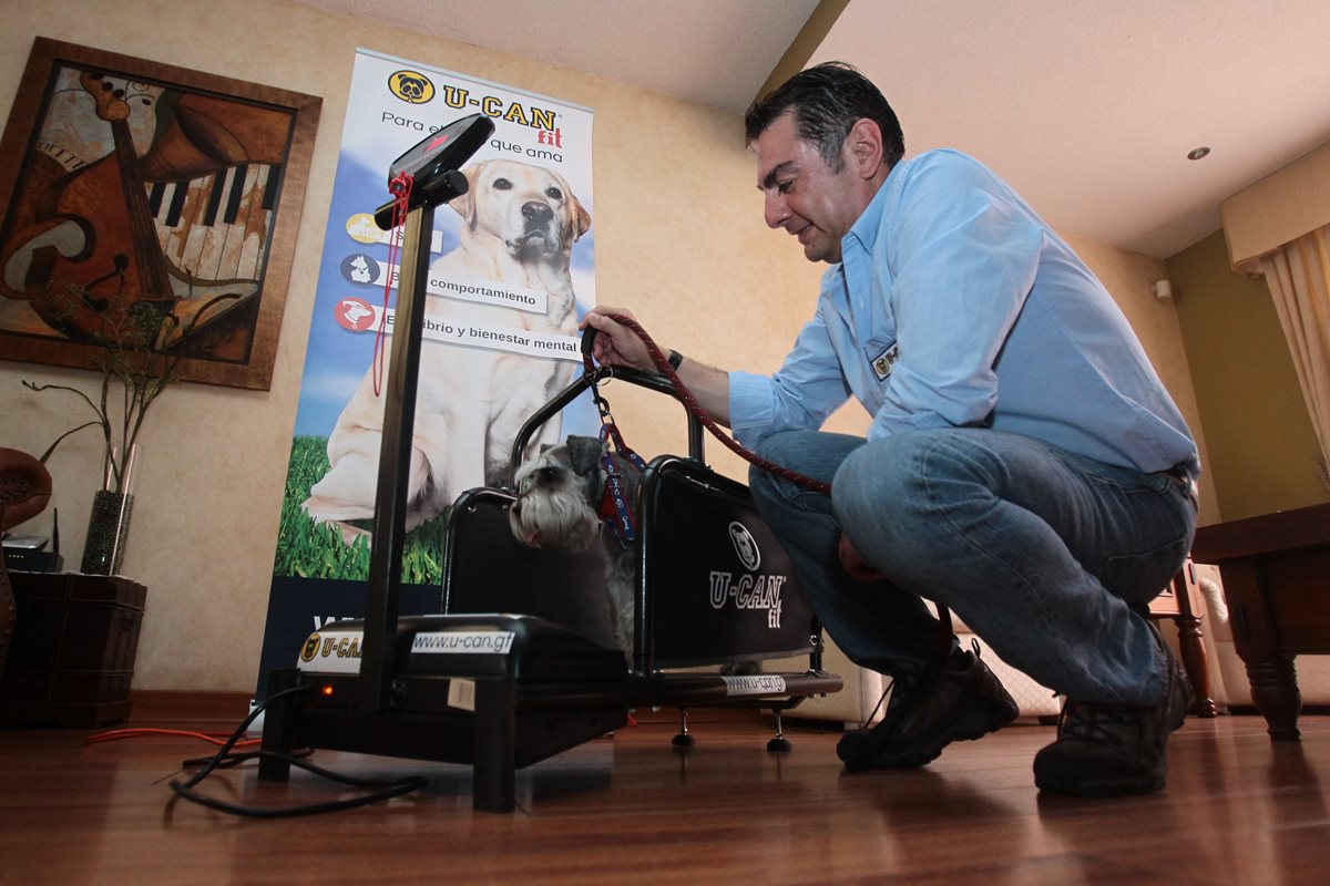Las caminadoras U-CAN fit llenan un espacio en el mercado nacional. (Foto Prensa Libre: Álvaro Interiano)