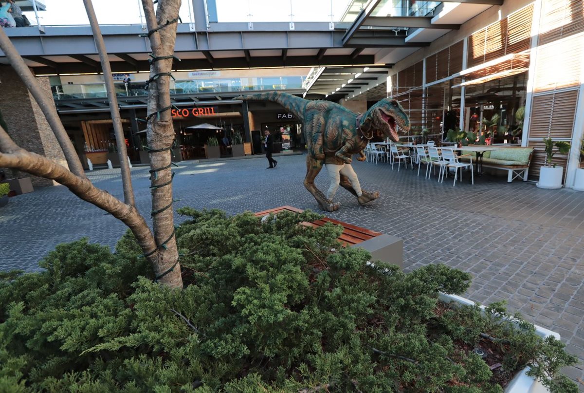 Los tiranosaurios rex invadirán los próximos fines de semana el centro comercial Majadas Once, en la zona 11 capitalina. (Foto Prensa Libre: Álvaro Interiano)