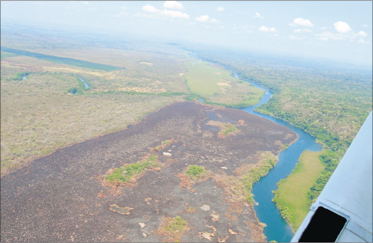 El cambio del uso del suelo para siembras y ganadería son las principales razones para la quema de grandes extensiones de bosque en la Reserva Maya. (Foto Prensa Libre: Hemeroteca PL)