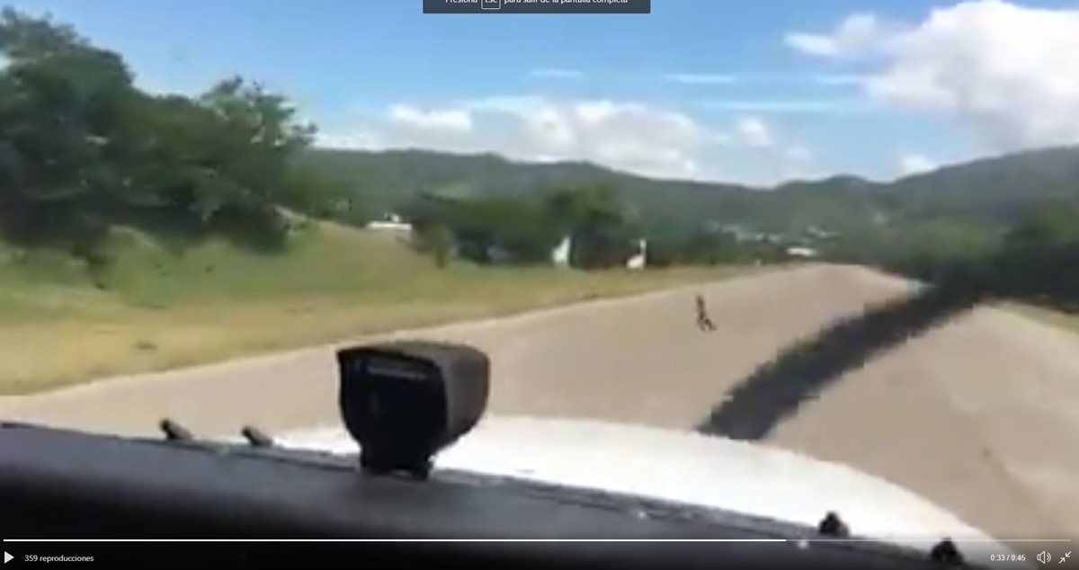 El piloto de una avioneta aterrizaba en el aeródromo de Chiquimula cuando observó que una persona intentaba cruzar la pista. (Foto Prensa Libre: Twitter DGAC)