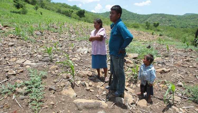 Familias del corredor seco sufren las consecuencias de la sequía prolongada. (Foto Prensa Libre: Hemeroteca PL)