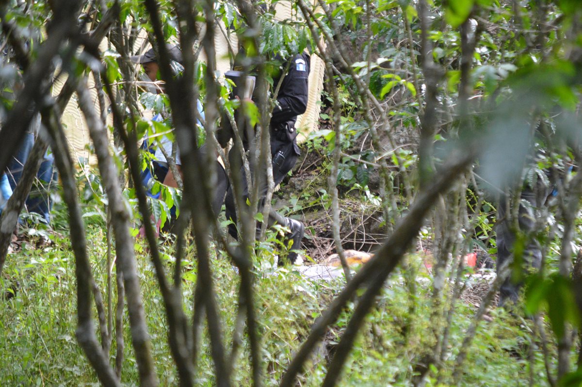 Entre unos cafetales, en San Lucas Tolimán, Sololá, fue hallado el cadáver de una menor que estaba desaparecida. (Foto Prensa Libre: Ángel Julajuj)