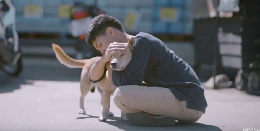 El primer abrazo es el título del video subido a YouTube que busca frenar el maltrato en contra de los animales en las calles de Tailandia. (Foto Prensa Libre: YouTube)