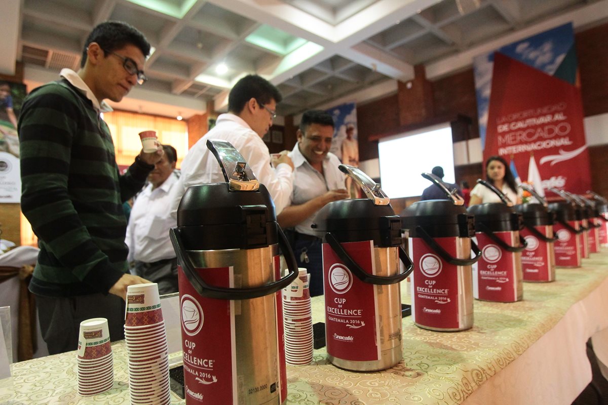 Las subastas electrónicas de café permiten a los productores tener precios superiores a la media del mercado. (Foto Prensa Libre: Álvaro Interiano)