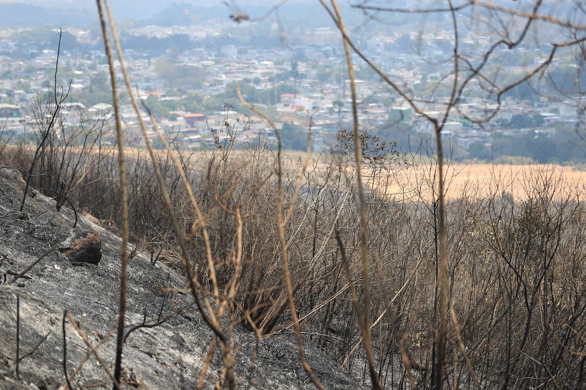 La deforestación es una de las causas por las que las fuentes de agua se secan en el país y los incendios son una de las formas de deforestar. (Foto Prensa Libre: Hemeroteca)