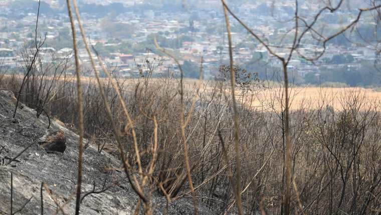 La deforestación es una de las causas por las que las fuentes de agua se secan en el país y los incendios son una de las formas de deforestar. (Foto Prensa Libre: Hemeroteca)