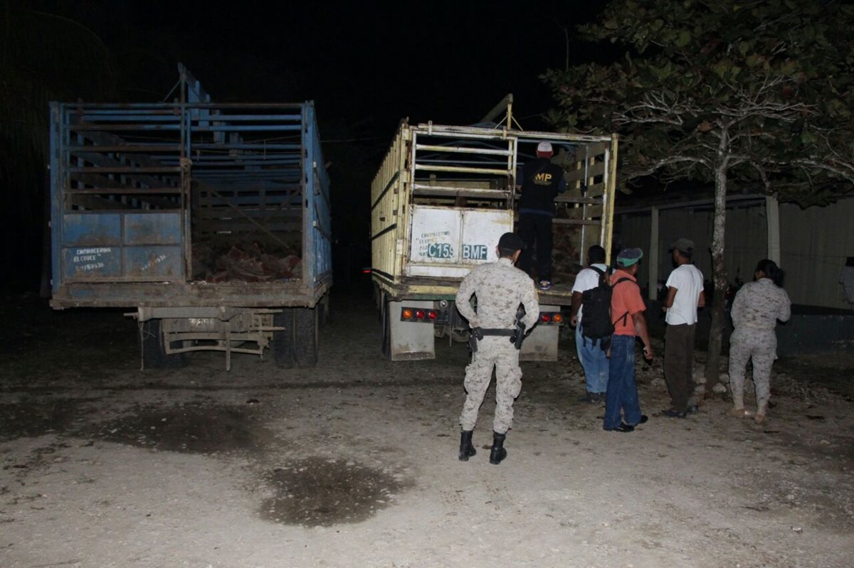Camiones con madera ilegal fueron localizados en La Libertad, Petén. (Foto Prensa Libre: Rigoberto Escobar)